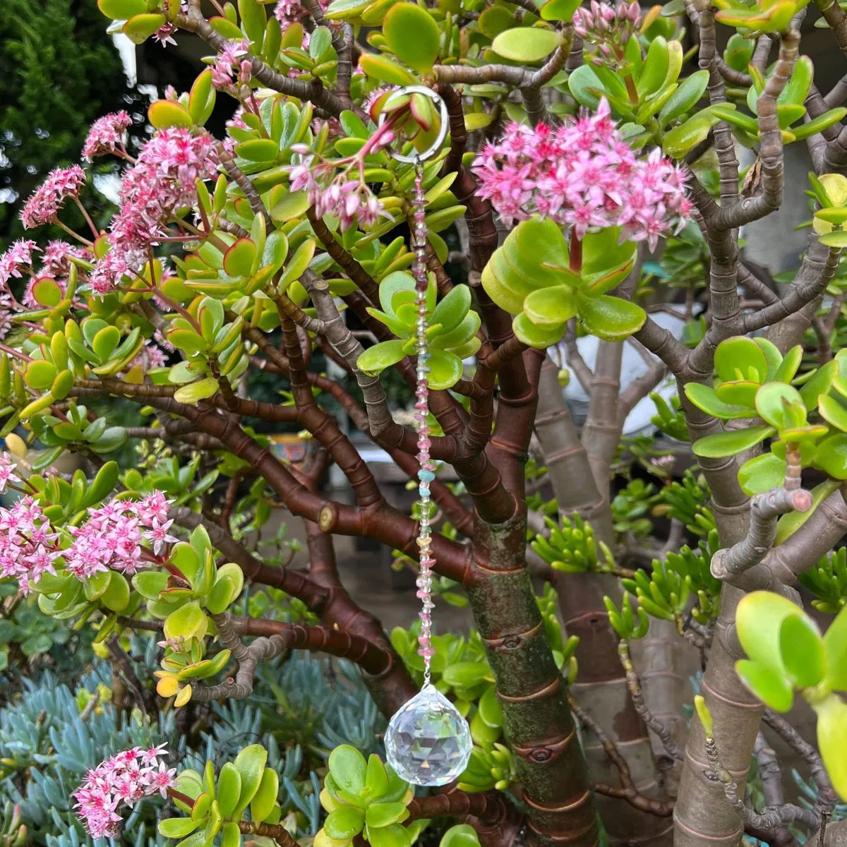 Crystal Sun Catcher - Rainbow Maker Tourmaline Keychain