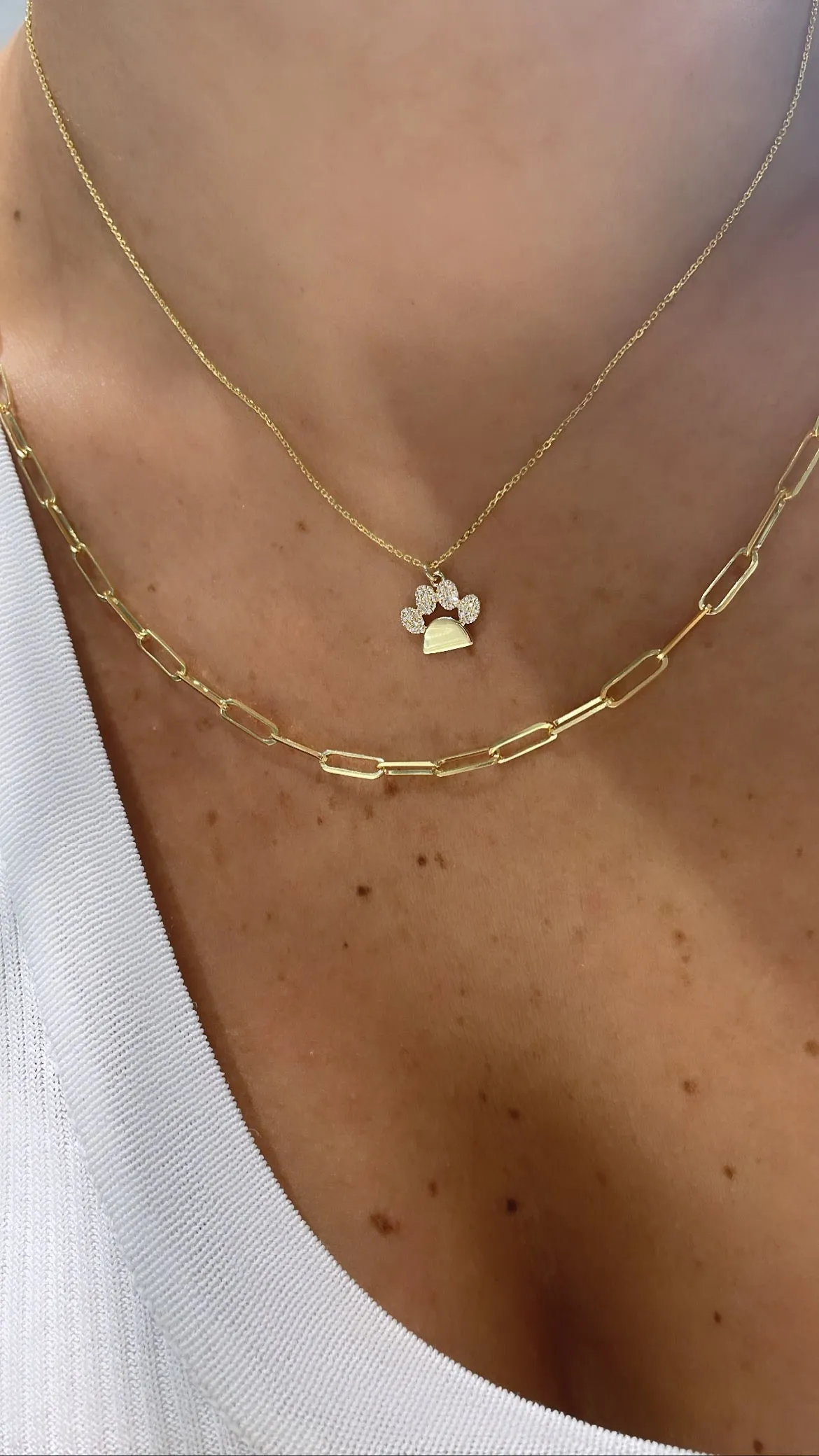 Semi Diamond Paw Necklace